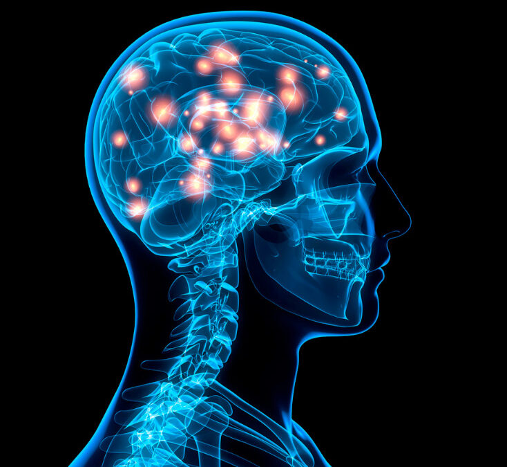 The Effects of NET in Brain Physiology